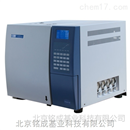 MGC-6890A非甲烷总烃气相色谱仪